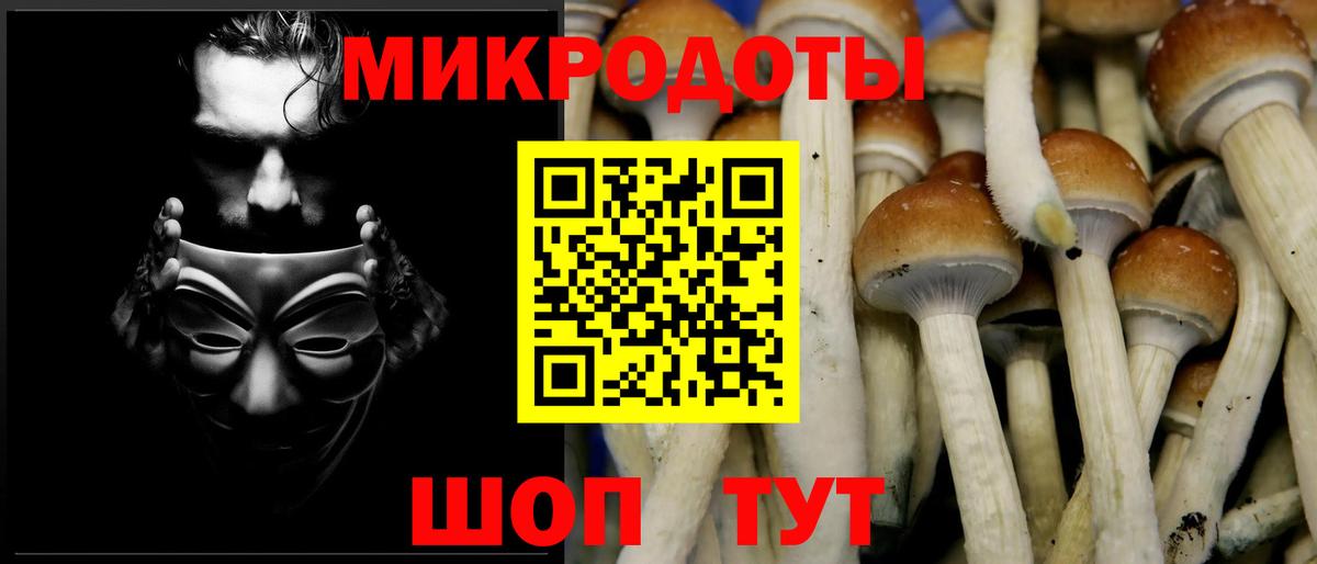 Псилоцибиновые грибы GOLDEN TEACHER Березники